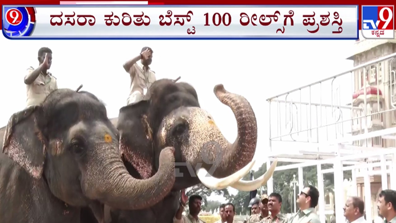 🔴LIVE | Mysuru Dasara 2026 : ದಸರಾ ರೀಲ್ಸ್ ಕುರಿತು 100 ಬೆಸ್ಟ್ ರೀಲ್ಸ್​ಗೆ ಪ್ರಶಸ್ತಿ | #tv9d