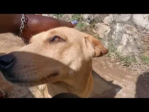 TRIP TO SAGALLA VILLAGE | TAITA TAVETA | VEE THE TRAVELLER