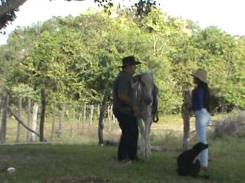 JESUS D QUINTERO ME LA BEBI DESPECHAO