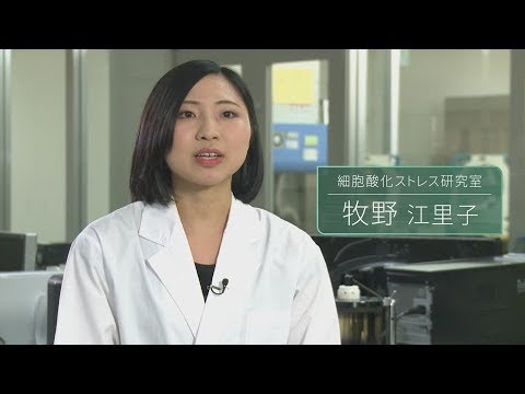 「応用生物学部 生命科学分野」研究紹介02