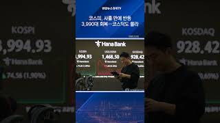 코스피, 사흘 만에 반등 3,990대 회복…코스닥도 올라