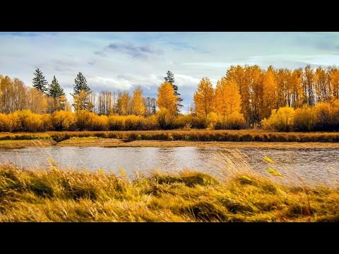 Fall Foliage at Bend (1) Oregon 4K UHD