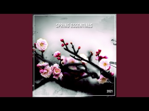 House to the People (Radio Edit)