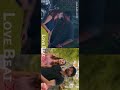 Love Song Whatsapp Status Thalapathy Vijay Nayanthara Oru Pathi Kathavu Neeyadi