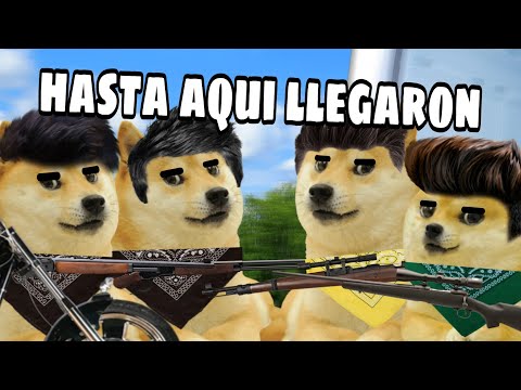 Nos Enfrentamos a unos Niños con Derecho en una Guerra de Bandas Parte 4 | Hilos con Cheems #33