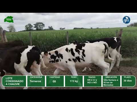 Video del lote L0-000857
