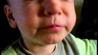 Lady &amp; Bird    The Ballade of Lady and Bird