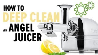 How to deep clean an Angel juicer