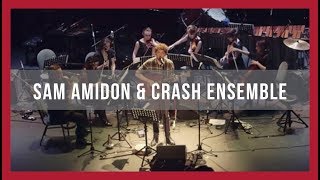 I SEE THE SIGN - Sam Amidon &amp; Crash Ensemble