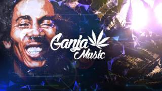 Bob Marley &amp; Skip Marley - Three Little Birds ft. Cedella Marley (Ricky Mears Remix)