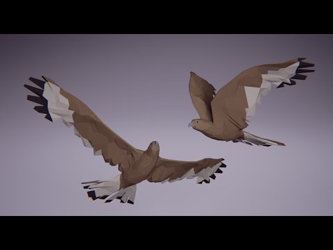Low Poly Bird: Golden Eagle (Stylized Character for Unreal Engine & Unity)