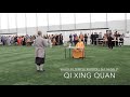 Qi Xing Quan Performance @ 3rd Shaolin Cultural Festival UK