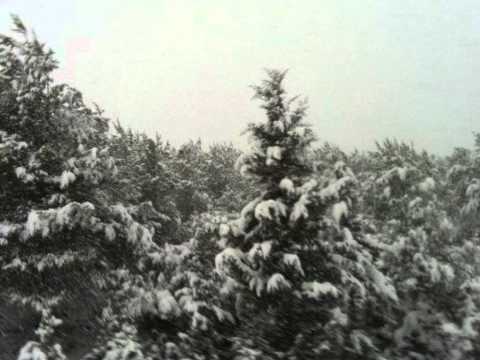 Rene Ablaze Meets Fischer & Miethig Ft Stine Grove -day of the snow (salah van Mix)