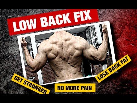LOWER BACK FATとPAINを取り除く（男性必見！）。 (Get Rid of LOWER BACK FAT and PAIN (Must Watch for Men!))