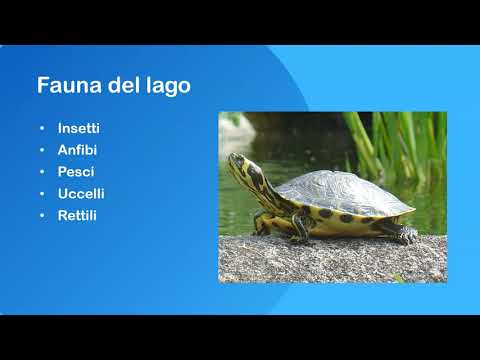 Lago spiegato ai bambini della Primaria