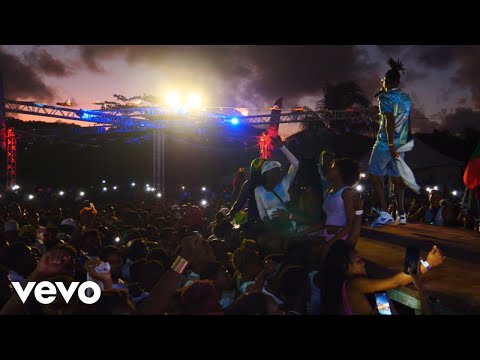 Yung Bredda - Feel It (Official Video)