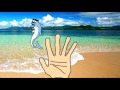 Семья удивительных пальчиков дельфинов Dolphin Finger Family In R