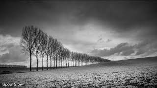 Her Last Words - Courtney Parker (Slowed to perfection.)