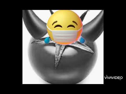 غلات الخضرة