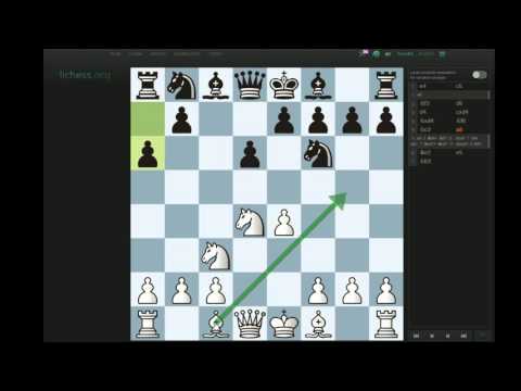 Reddit Opening of the Week - The Open Sicilian - Najdorf