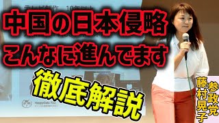 【参政党】中国の日本侵略、実はこんなに深刻なんです…藤村晃子が徹底解説！#松田学