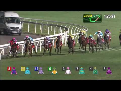 3/2/2021 (399) Incanto Prepared -  J Moreira