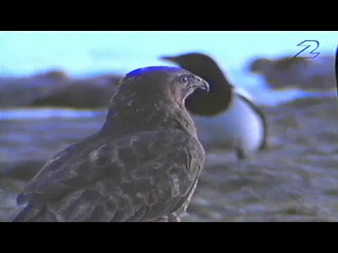 Mitt I Naturen - Fyledalen