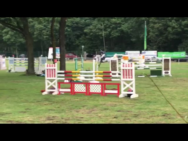 Movie of a jumping class CSI 1.55m mare Engelien (Clinton x Carthago).