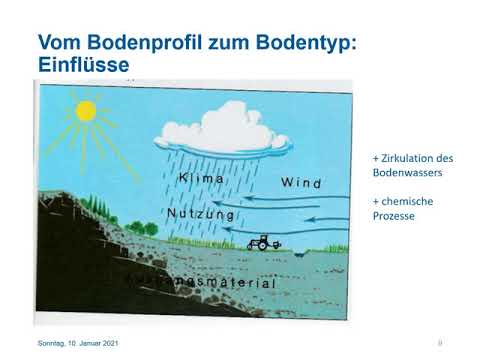 Bodenkunde Teil 1: Folge 2 Bodentypen