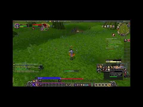 Solo Hogger - Hardcore Classic - Rogue