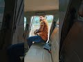 Zindagi Ek Safar Hai Suhana Travel Video Desi Parinde
