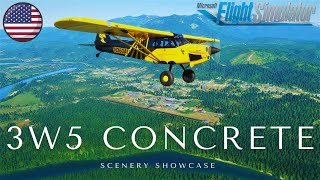 X-Cub Hornet (4K) video