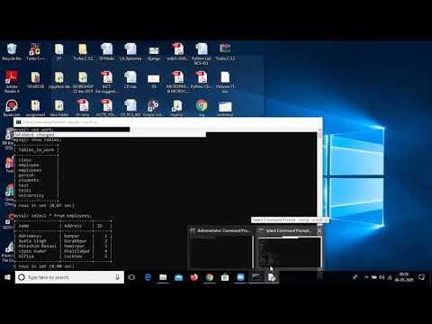 Delete And Update Data From Database Using Python