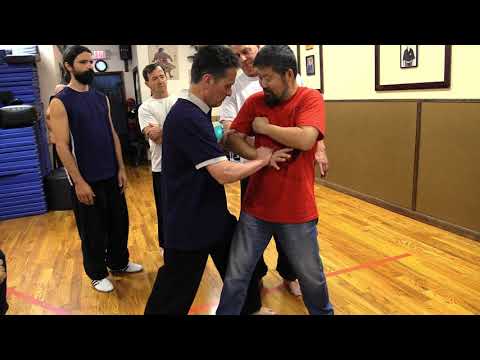 Master Chen Zhonghua "In With Elbow."