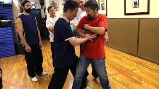 Master Chen Zhonghua "In With Elbow."