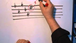 Music Theory 101 Part 1A