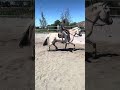 IMG 4912