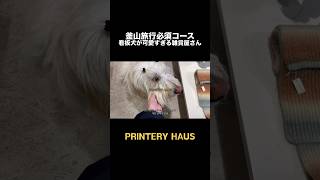 看板犬が可愛すぎる釜山の雑貨屋さん🐶