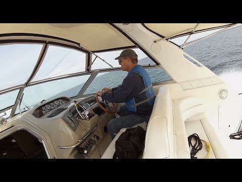 First Cruise With Boogaboo! Sea Ray Sundancer - Long Version