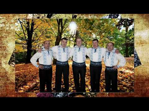 Formatia Mihai Mihaila si Fratii Mercurean de la Cunta - Du-te mândruliță, du-te!