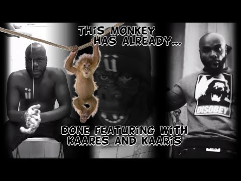 This monkey has already done a featuring with Kaares and Kaaris.