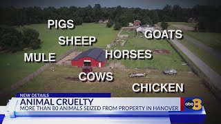 ‘I’m not sure he knew what he was doing’: More than 80 animals seized from property in Hanover