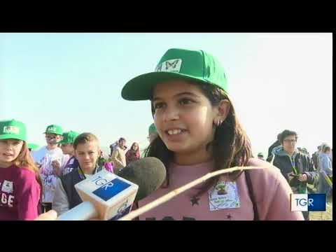 "Festa dell'Albero" a Novi - Servizio TG Regionale RAI