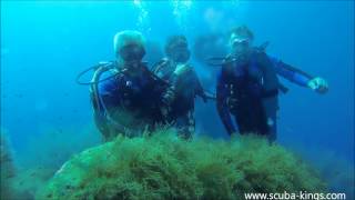 Ras il Hobz, diving with Scuba Kings Gozo