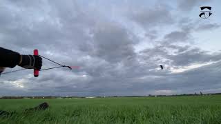 Spiderkites Lycos 1.6 LC bei 2-4 Bft