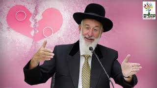פרשת בראשית - הרב יונה מצגר HD - מדהים!