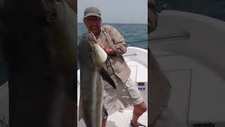 Hôtel Kasa Afrikana