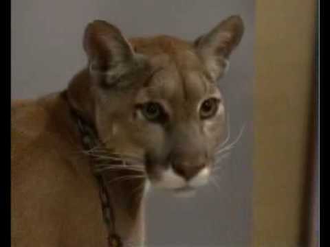 NEXT on THE BOLD AND THE BEAUTIFUL Episode 5624