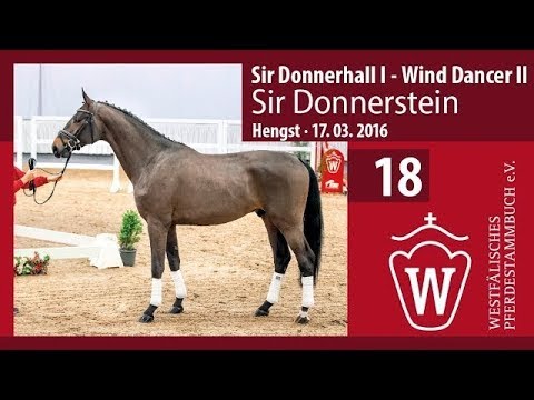 18 Longiervideo Sir Donnerstein (Hengst v. Sir Donnerhall - WindDancer II)