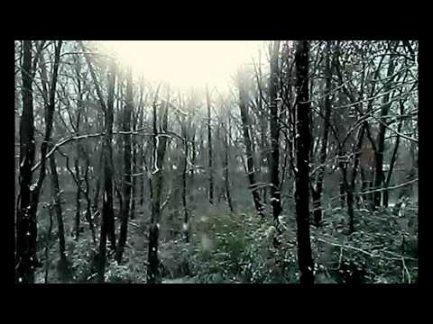 Michael Barnes - "Six Cold Friends"